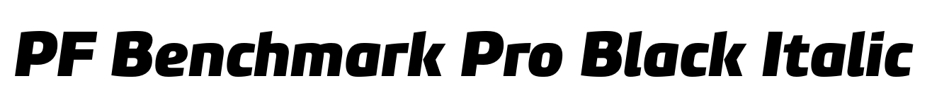 PF Benchmark Pro Black Italic